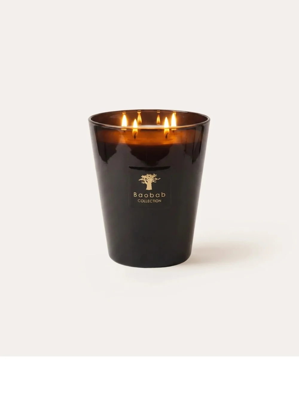 Baobab  . Les Prestigieuses SCENTED CANDLE LES PRESTIGIEUSES ENCRE. MAX 16